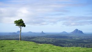 Preview wallpaper tree, grass, rocks, hills