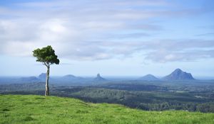 Preview wallpaper tree, grass, rocks, hills
