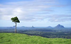 Preview wallpaper tree, grass, rocks, hills
