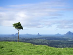 Preview wallpaper tree, grass, rocks, hills