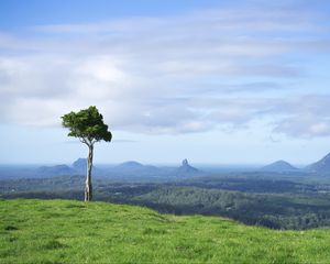 Preview wallpaper tree, grass, rocks, hills