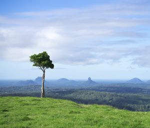Preview wallpaper tree, grass, rocks, hills