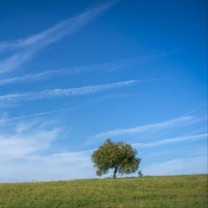 Preview wallpaper tree, grass, sky, nature, landscape