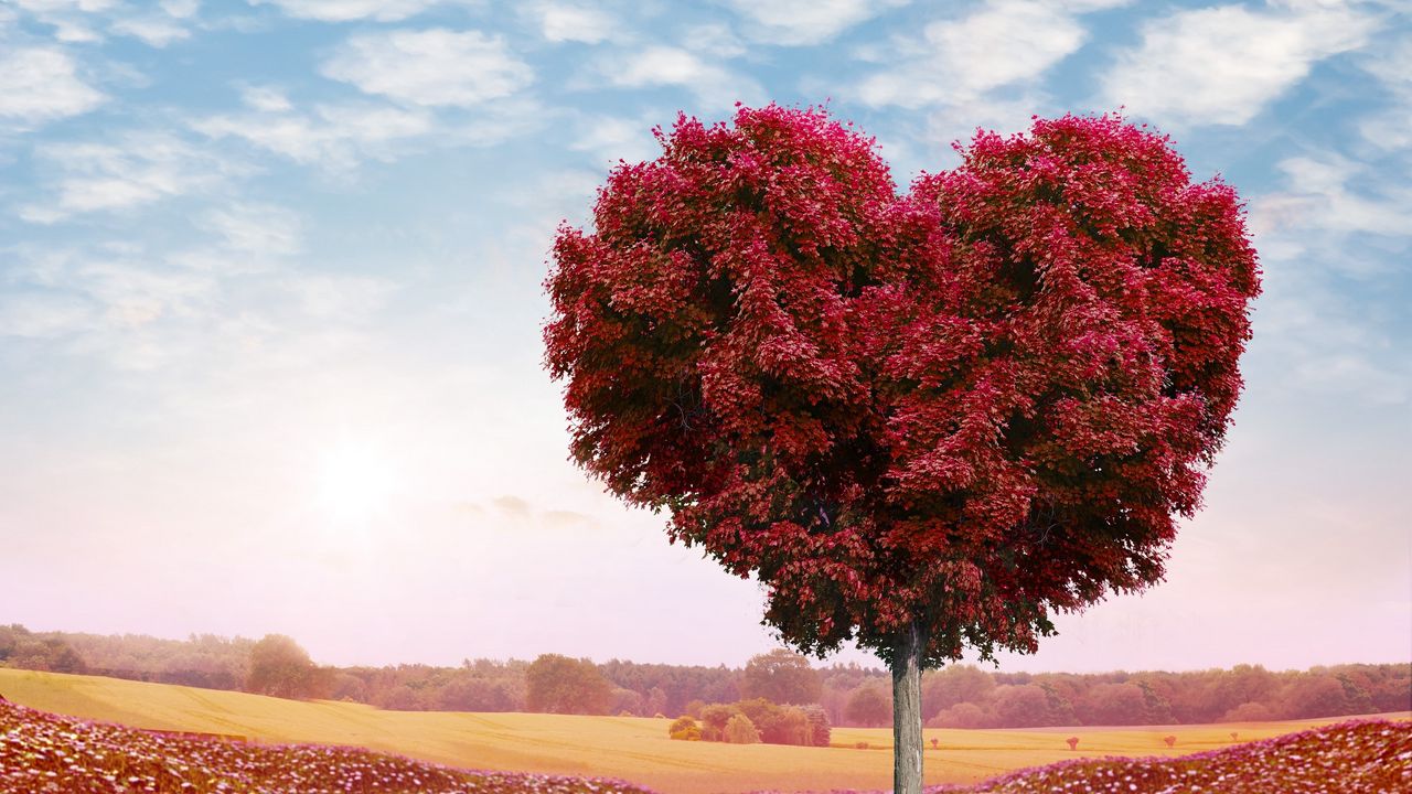 Wallpaper tree, heart, photoshop, leaves