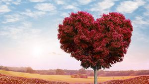 Preview wallpaper tree, heart, photoshop, leaves