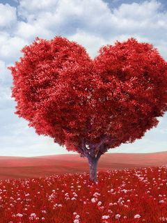 240x320 Wallpaper tree, heart, photoshop, field, grass, romance