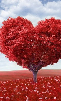240x400 Wallpaper tree, heart, photoshop, field, grass, romance