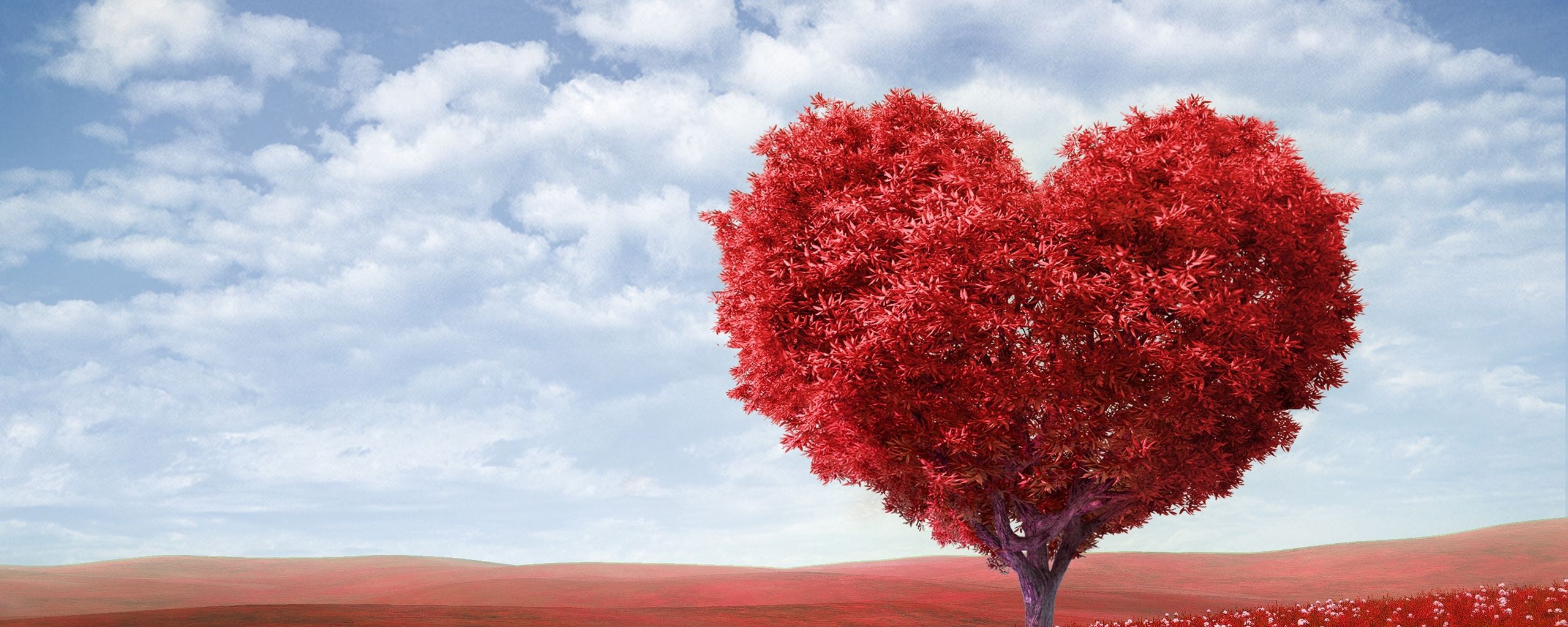 2560x1024 Wallpaper tree, heart, photoshop, field, grass, romance