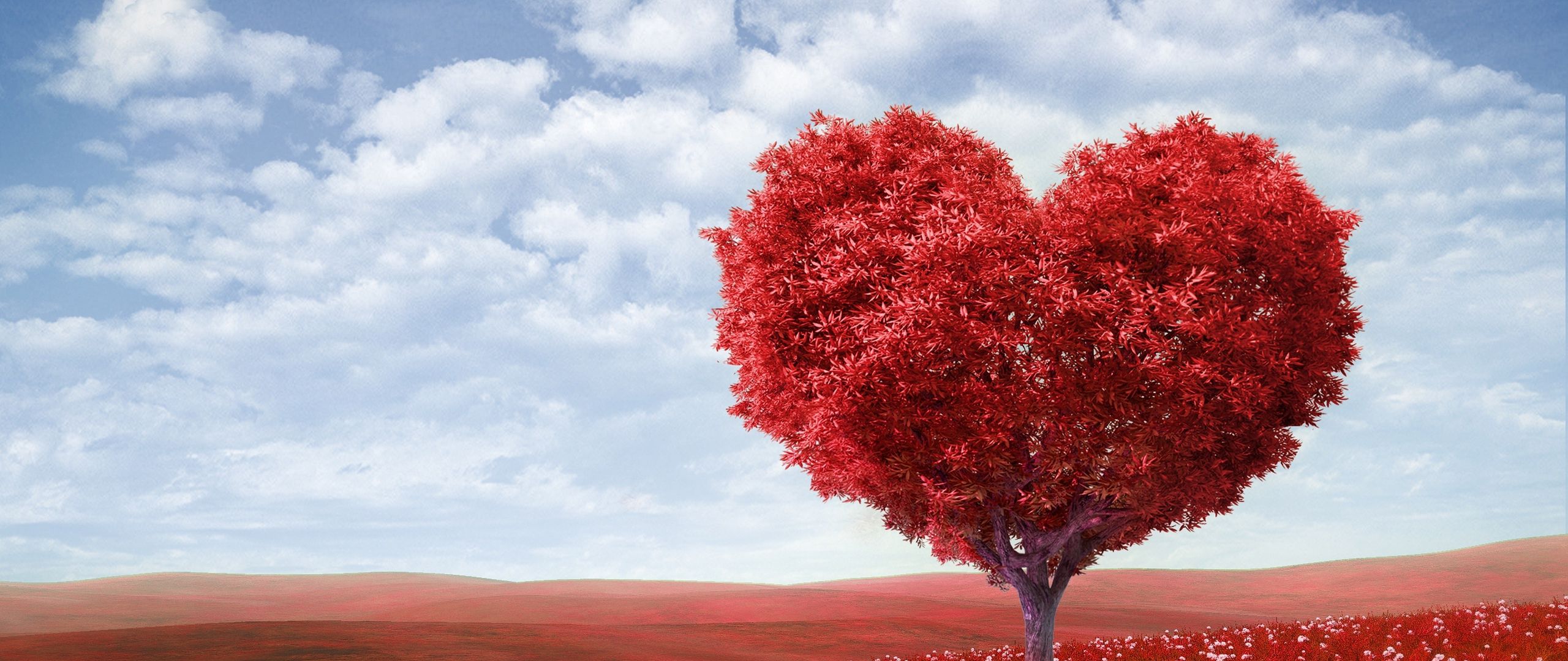 2560x1080 Wallpaper tree, heart, photoshop, field, grass, romance