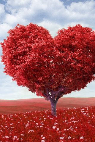 320x480 Wallpaper tree, heart, photoshop, field, grass, romance
