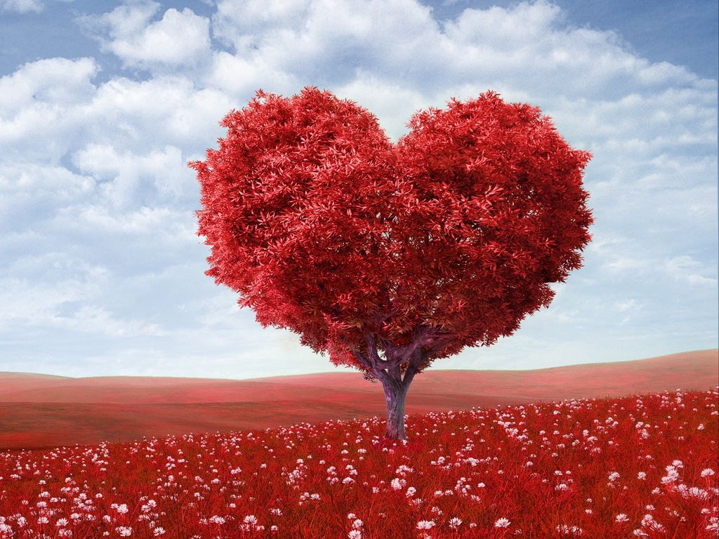 1024x768 Wallpaper tree, heart, photoshop, field, grass, romance