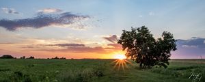 Preview wallpaper tree, heart, sunset, field