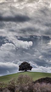 Preview wallpaper tree, hill, clouds, overcast, sky, grass