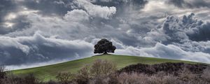 Preview wallpaper tree, hill, clouds, overcast, sky, grass