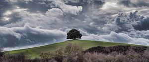 Preview wallpaper tree, hill, clouds, overcast, sky, grass