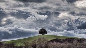 Preview wallpaper tree, hill, clouds, overcast, sky, grass