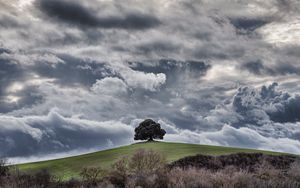 Preview wallpaper tree, hill, clouds, overcast, sky, grass