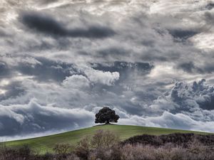 Preview wallpaper tree, hill, clouds, overcast, sky, grass