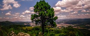 Preview wallpaper tree, hill, grass, sky, green