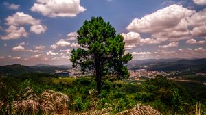 Preview wallpaper tree, hill, grass, sky, green