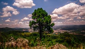 Preview wallpaper tree, hill, grass, sky, green