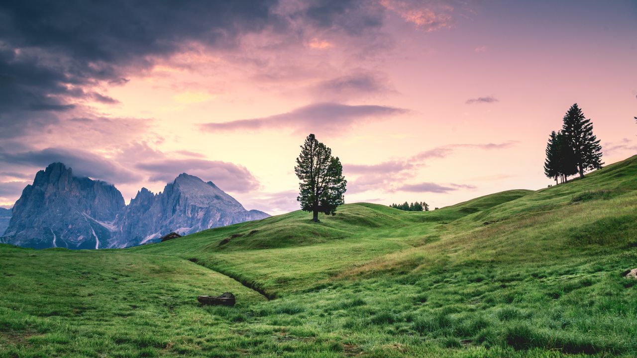 Wallpaper tree, hill, grass, sky, landscape