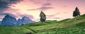 Preview wallpaper tree, hill, grass, sky, landscape