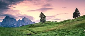 Preview wallpaper tree, hill, grass, sky, landscape