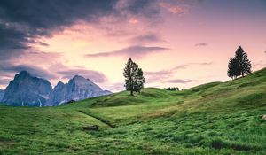 Preview wallpaper tree, hill, grass, sky, landscape