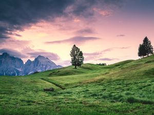 Preview wallpaper tree, hill, grass, sky, landscape
