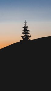 Preview wallpaper tree, hill, silhouette, dark