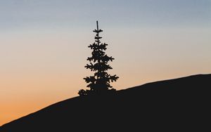Preview wallpaper tree, hill, silhouette, dark