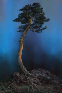 Preview wallpaper tree, hill, silhouette, art