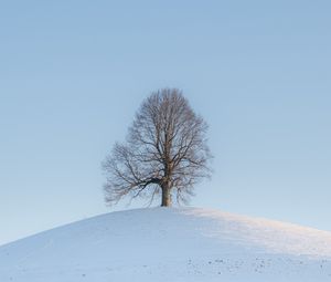 Preview wallpaper tree, hill, snow, winter, landscape