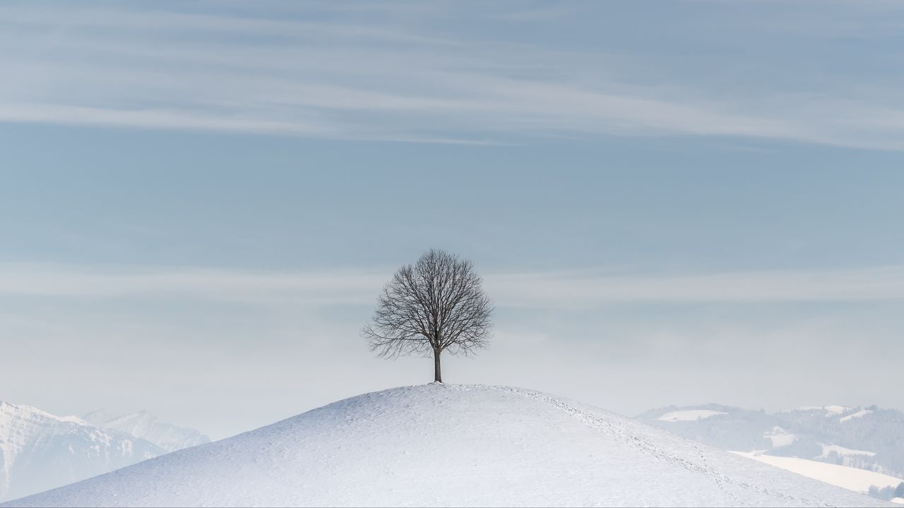 Wallpaper tree, hill, snow, winter, minimalism