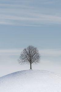Preview wallpaper tree, hill, snow, winter, minimalism