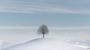 Preview wallpaper tree, hill, snow, winter, minimalism