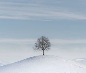 Preview wallpaper tree, hill, snow, winter, minimalism