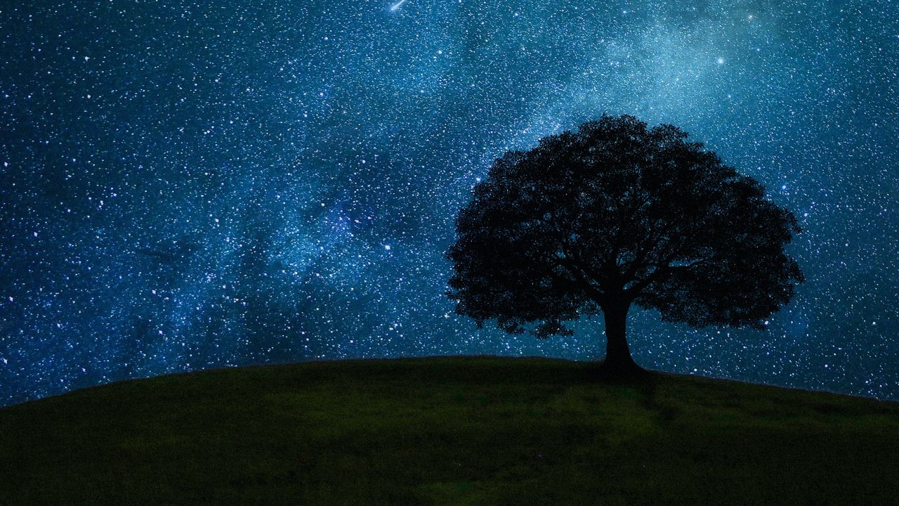 Wallpaper tree, hill, starry sky, stars, night, dark hd, picture, image