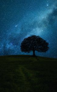 Preview wallpaper tree, hill, starry sky, stars, night, dark