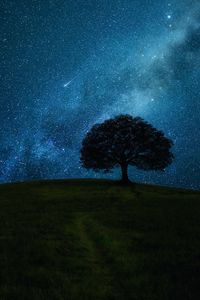 Preview wallpaper tree, hill, starry sky, stars, night, dark