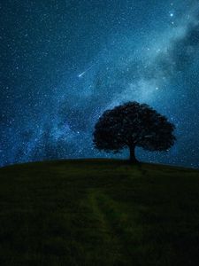 Preview wallpaper tree, hill, starry sky, stars, night, dark