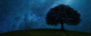 Preview wallpaper tree, hill, starry sky, stars, night, dark