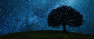 Preview wallpaper tree, hill, starry sky, stars, night, dark