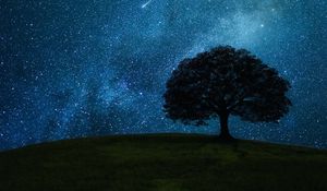 Preview wallpaper tree, hill, starry sky, stars, night, dark