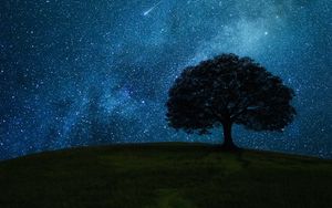Preview wallpaper tree, hill, starry sky, stars, night, dark