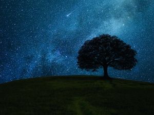 Preview wallpaper tree, hill, starry sky, stars, night, dark