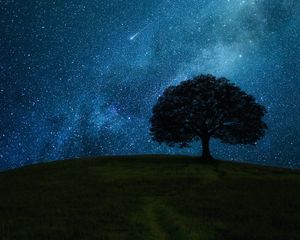 Preview wallpaper tree, hill, starry sky, stars, night, dark