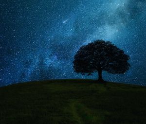 Preview wallpaper tree, hill, starry sky, stars, night, dark