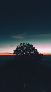 Preview wallpaper tree, hill, sunset, horizon